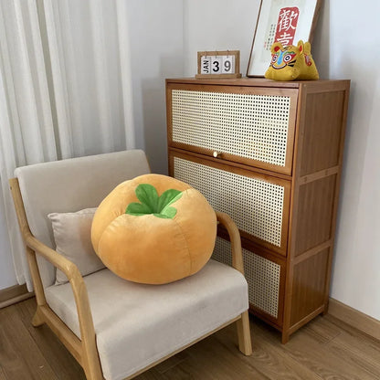Peach Plush Pillow