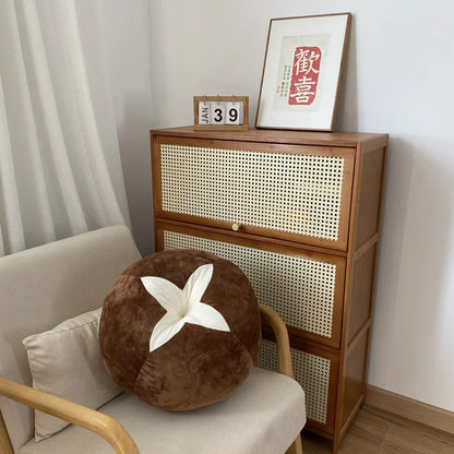 Peach Plush Pillow